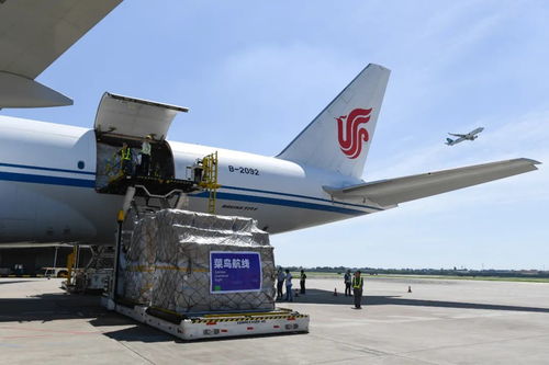 速看！2020年國家物流樞紐建設名單出爐，助力國際貨物運輸代理發展